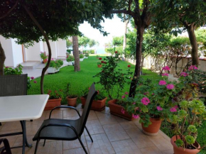 Posidonia Pension, Amarynthos